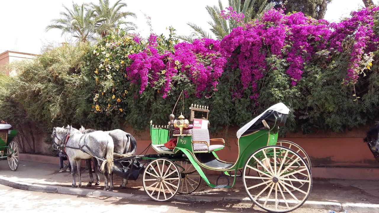 مراكش Mirador De Majorelle, The Apartment Is Only For Families المظهر الخارجي الصورة
