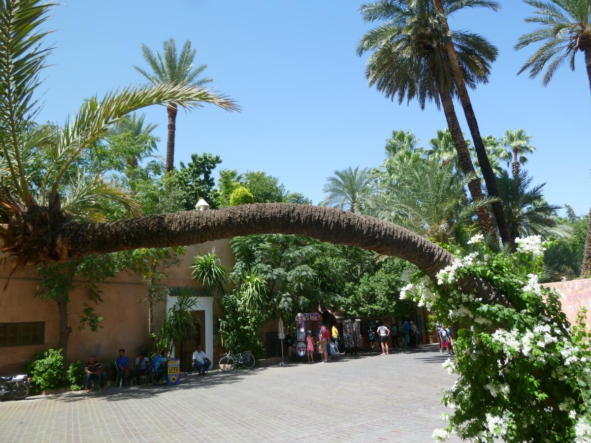 مراكش Mirador De Majorelle, The Apartment Is Only For Families المظهر الخارجي الصورة