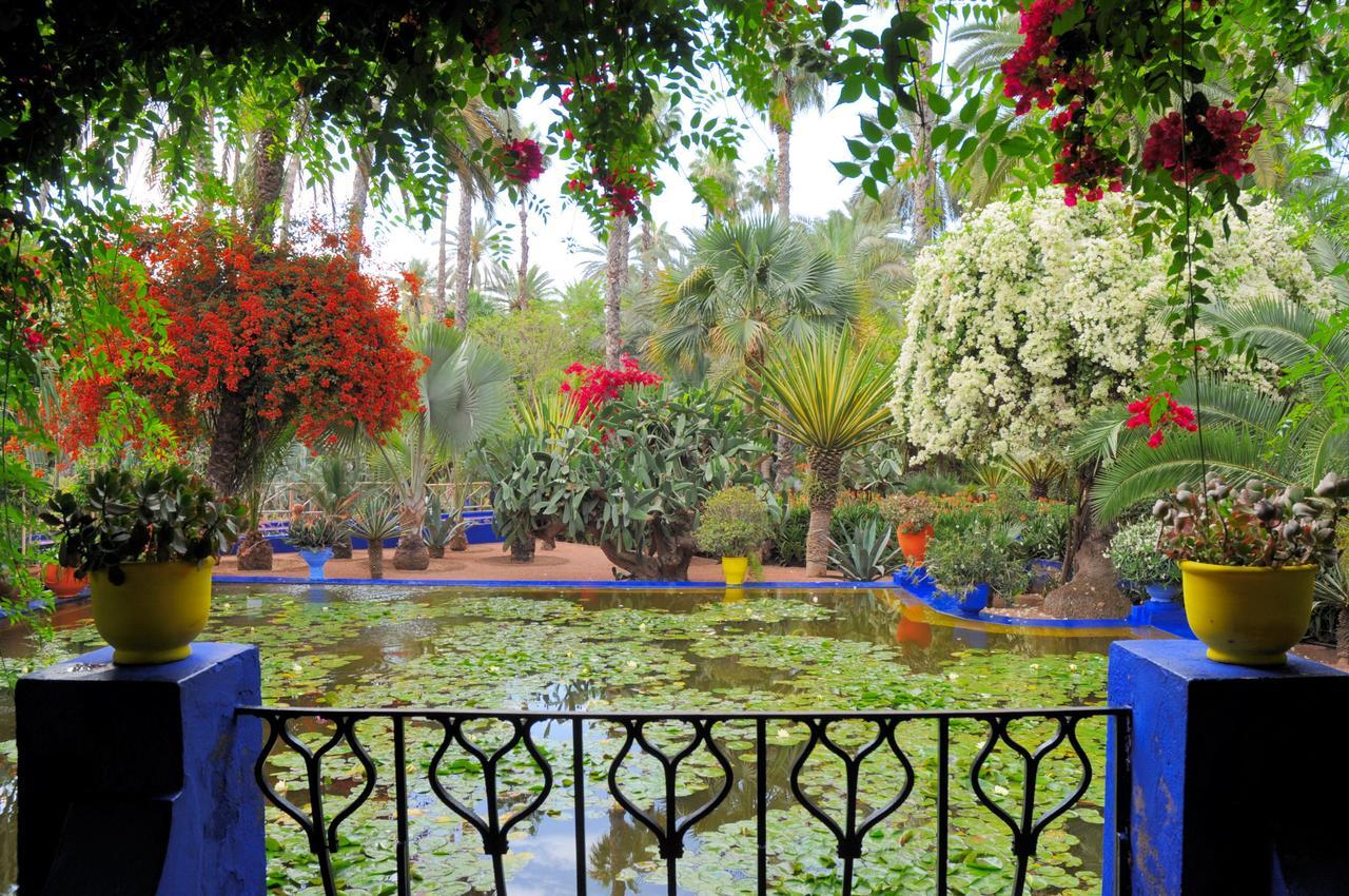 مراكش Mirador De Majorelle, The Apartment Is Only For Families المظهر الخارجي الصورة